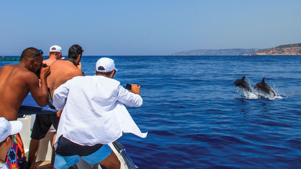 Marine Biology  Experience  (Morning Trip)